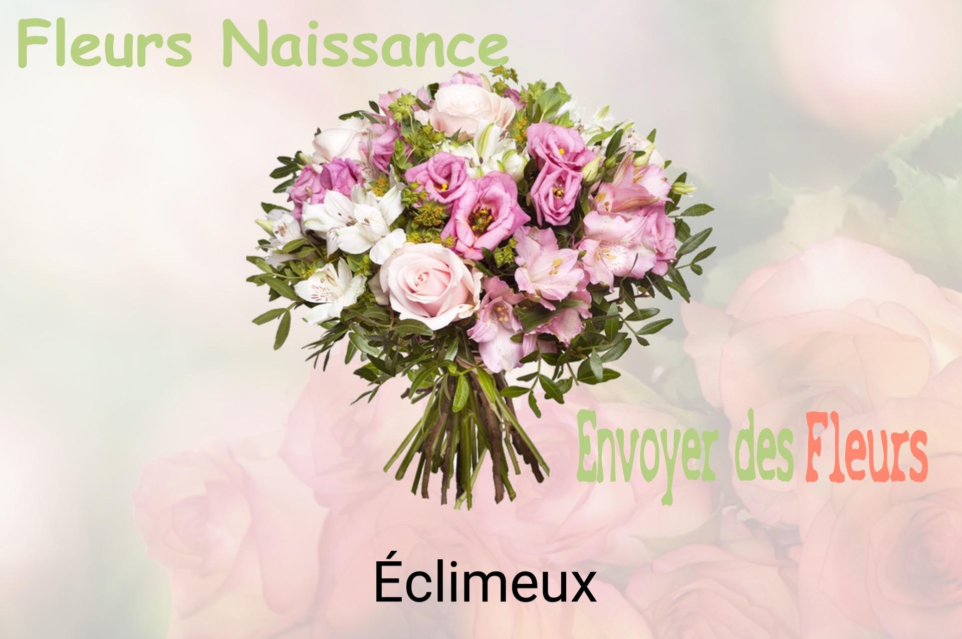 Bouquet de fleurs de naissance livré à Éclimeux