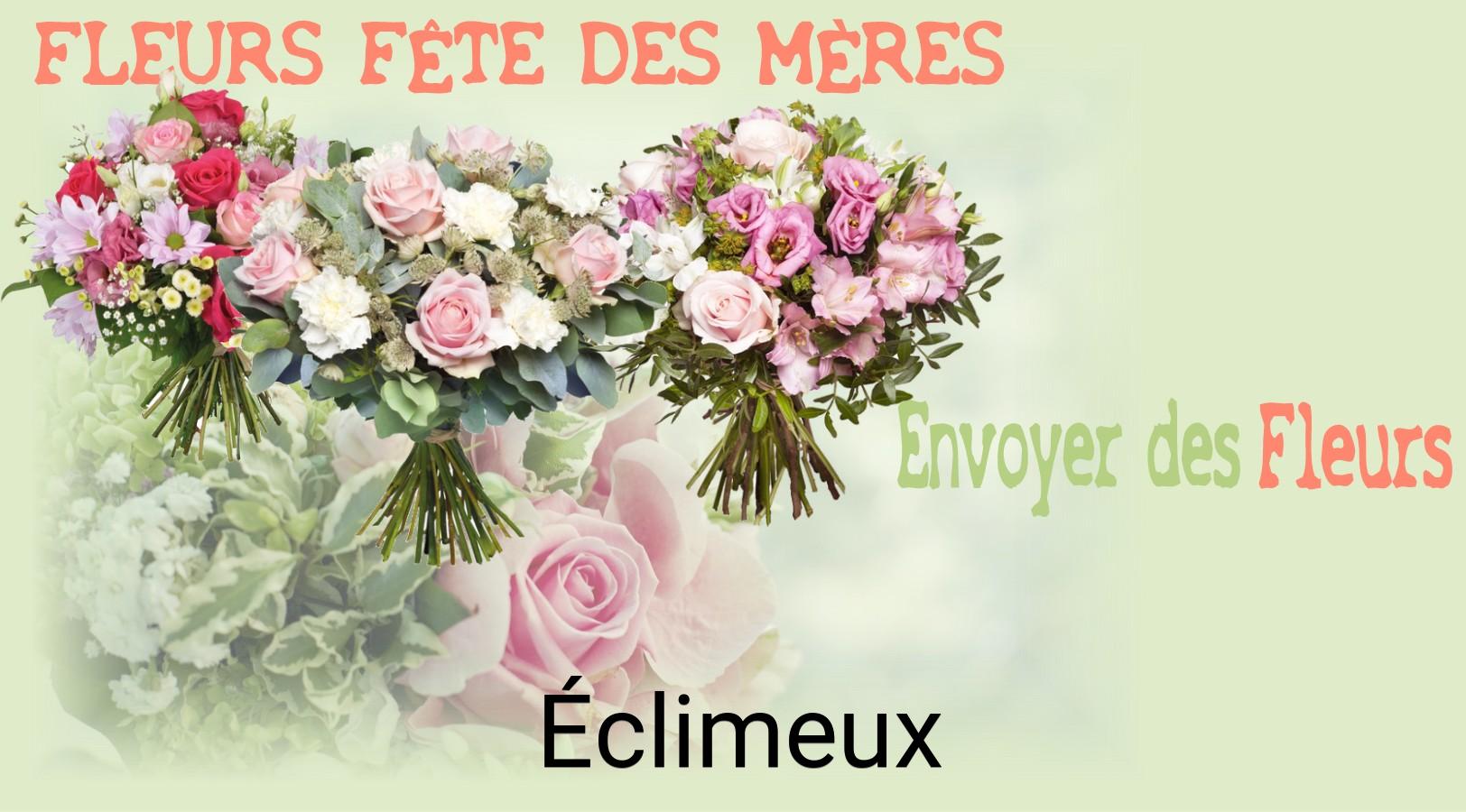 Bouquet de Fête des Mères livré à Éclimeux